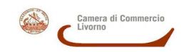 LOGO CAMERA COMMERCIO LIVORNO