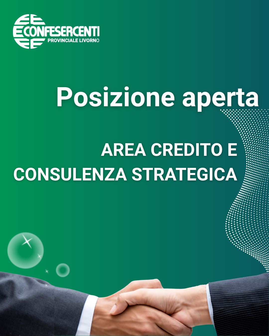 offerta lavoro: area credito e consulenza strategica